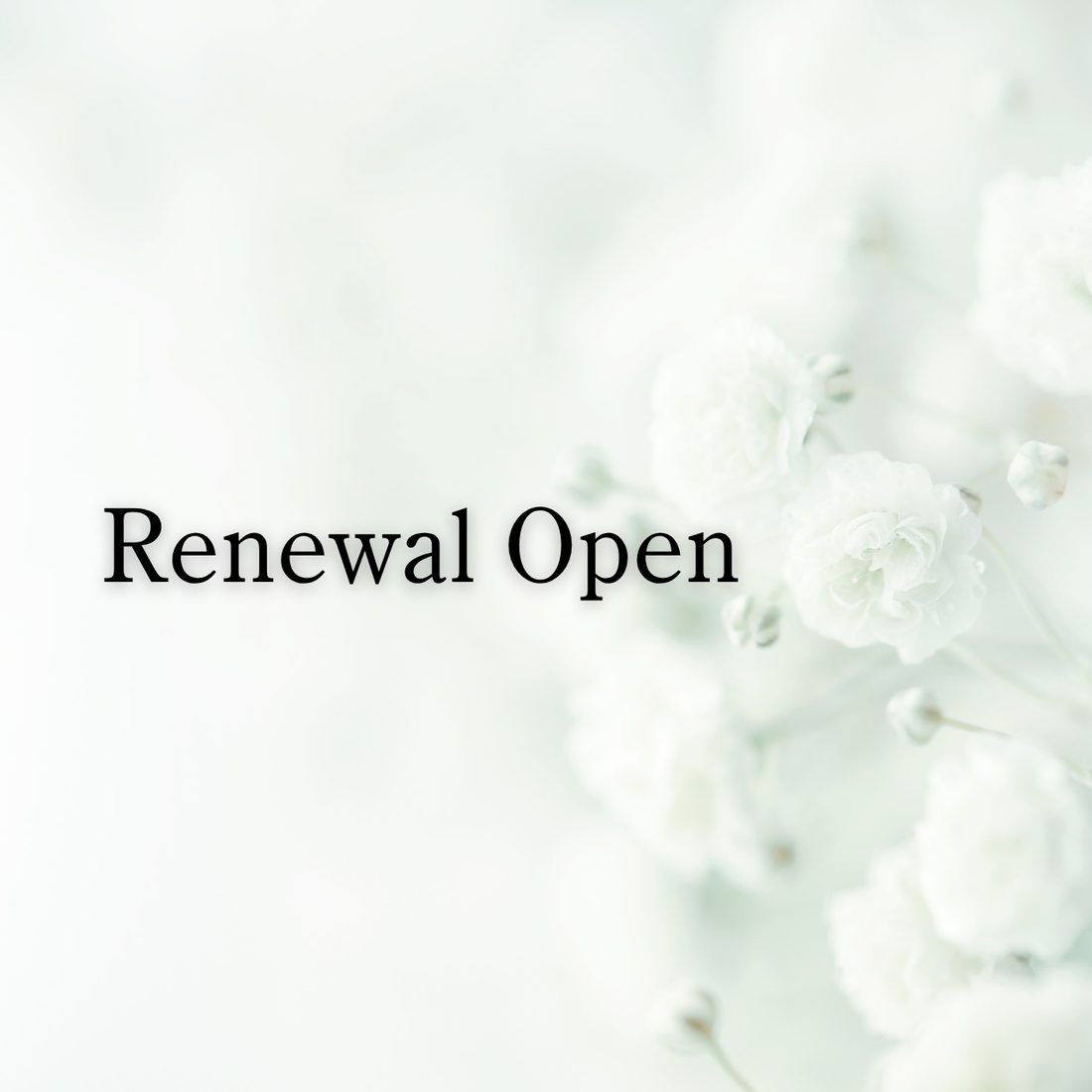 ふたつのショップが、それぞれの形ではじまります。