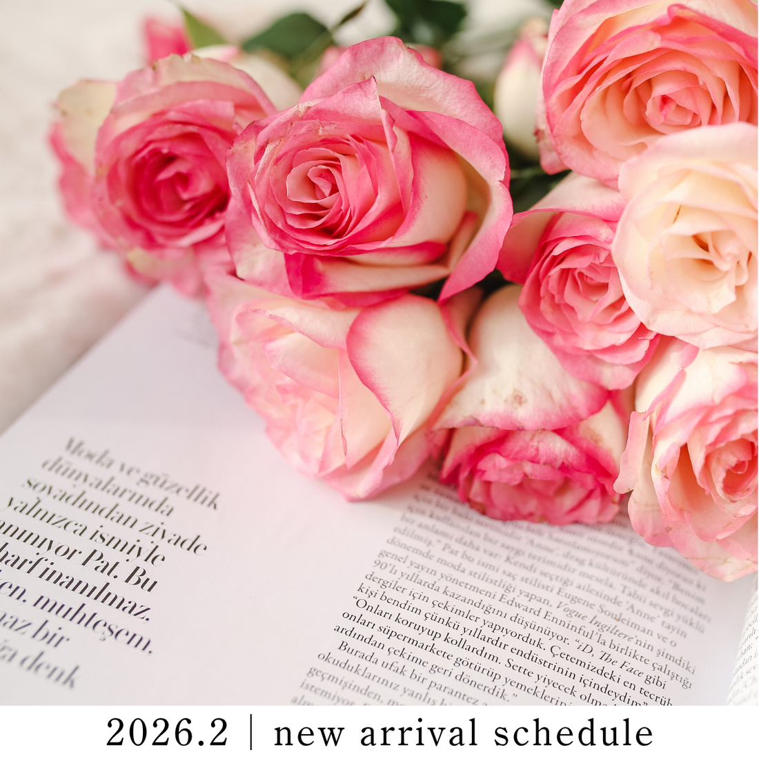 2026年2月｜新作・スケジュールのご案内