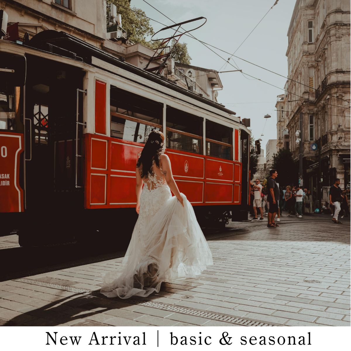 新作｜basic & seasonal