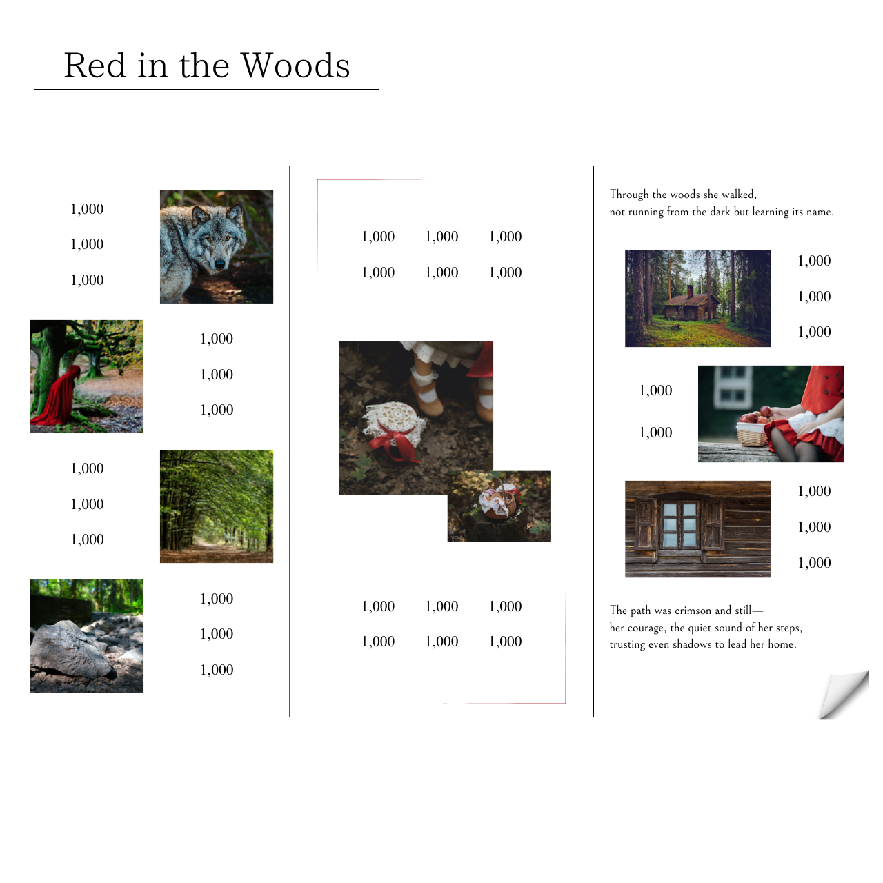 - Collection de contes - Le Rouge dans les bois