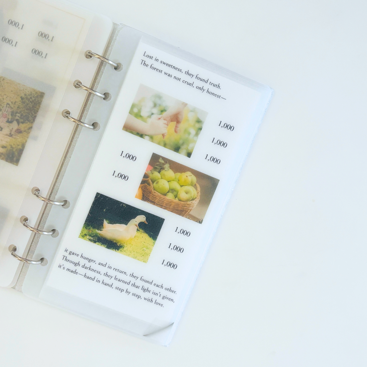 - Colección de Cuentos - Sweets Forest