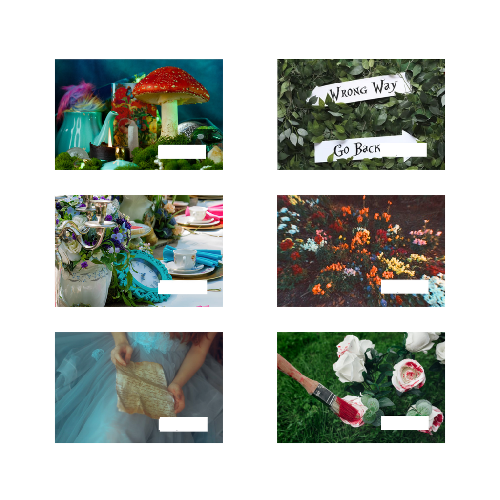 - Fairy Tale Collection -  Alice in Wonderland