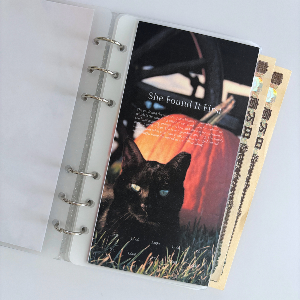 lumière collection