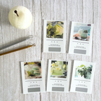 カラフル｜スクラッチ