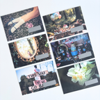 10月｜Alice, Still｜fairy tale collection