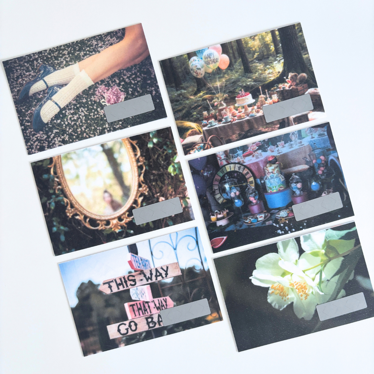 10月｜Alice, Still｜fairy tale collection