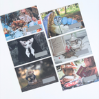 10月｜Alice, Still｜fairy tale collection