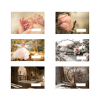 - Collection de contes - Rose éternelle