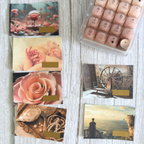 fairy tale collection｜セット（全9種）