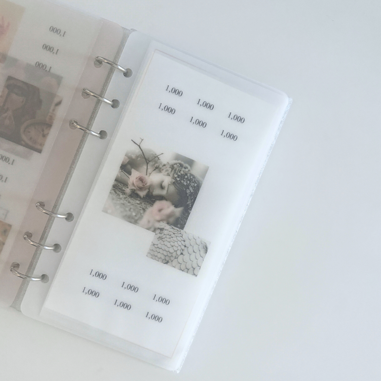 - Collection de contes - Rose éternelle