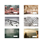 - Collection de contes - Rose éternelle